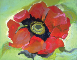 Like many of Bolmeier works, this poppy painting was started outside and completed over multiple sessions indoors. The 11 by 14 painting is mixed media on board. Image courtesy of the artist.