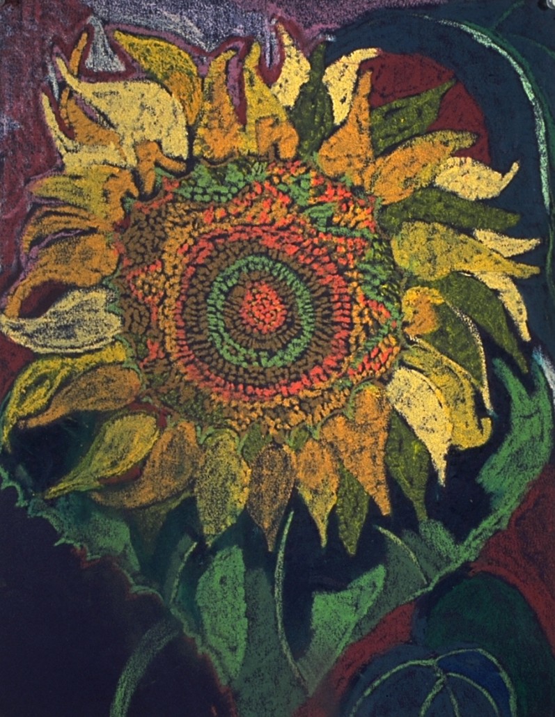 Bolmeier said that most people like her sunflower paintings more than any other subject matter. She painted this oil pastel, 24 by 20 inches, at St. Luke’s Garden in 1990. Image courtesy private collector.