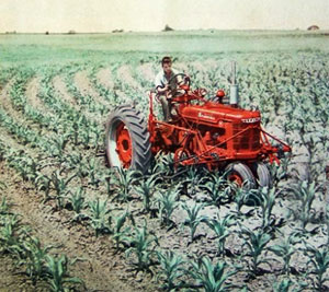 This 1950s International Harvester sales brochure pictures a Farmall tractor plowing corn. Photo courtesy G.W. McGraw Auction Co. and LiveAuctioneers.com.