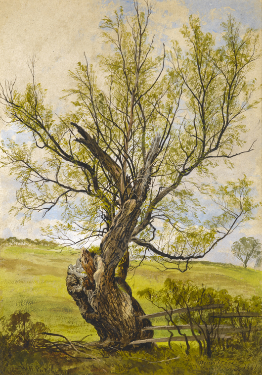 London dealer Guy Peppiatt will show this work in watercoler over black chalk by Waller Hugh Paton (1828-1895), entitled ‘A Willow Tree at Hermitage,’ 1861, at the Winter Fine Art & Antiques Fair.