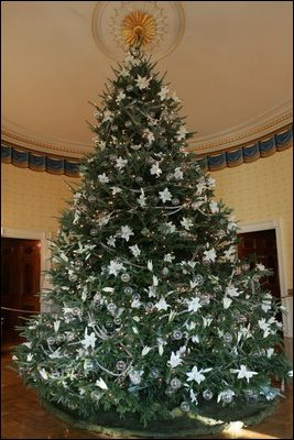 The White House Blue Room Christmas tree in 2005, during the George W. Bush administration. Photo by Shealah Craighead.