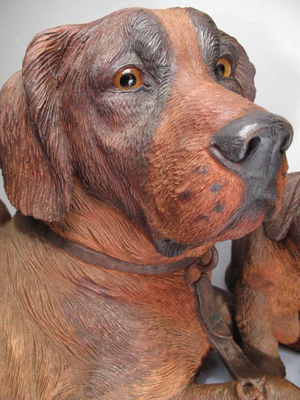 Closeup of mother dog's face