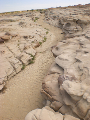 A muddy creek runs through the eroded badlands knows as the Bisti Wilderness in northwest New Mexico. Image courtesy of Wikimedia Commons.