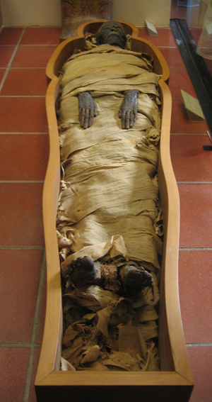 Mummy housed at The Vatican. 2006 photo by Joshua Sherwicij.