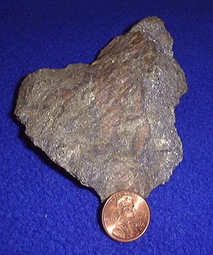 Example of gold ore as compared to a penny measuring 19mm in diameter. U.S. Geological Survey image, courtesy Wikipedia.