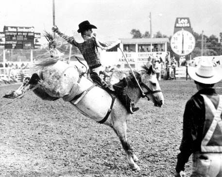 Cowboy Riding Saddle Bronc, CFD 1970. Image courtesy Wyoming State Archives.