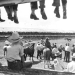 Looking through Fence with Boots at CFD Arena. Image courtesy Wyoming State Archives.