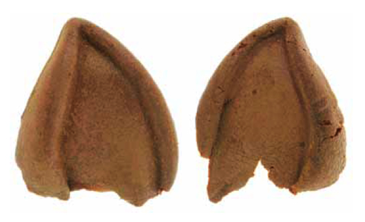 Actor Leonard Nimoy wore these prosthetic ears in his role as Spock in the Original Series. The pair of pointed Vulcan ears is expected to bring $4,000-$6,000. Image courtesy of Propworx.