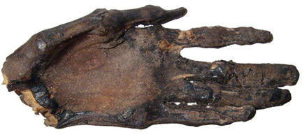 For collectors of the odd and curious is this ancient Egyptian mummified human hand, dating from the New Kingdom to the early Ptolemaic Period. From an old English collection, the well-preserved hand has an $8,000-$10,000 estimate. Image courtesy of Ancient Resource LLC.