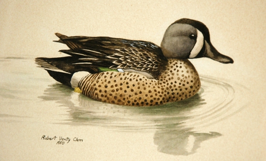 Robert Verity Clem (1933-2010), ‘Male Blue-winged Teal,’ watercolor on paper, signed and dated lower left, ‘Robert Verity Clem 1950,’ height: 8 inches x width: 11 inches. Estimate: $1,000-$1,500. Image courtesy of Gray’s Auctioneers & Appraisers.