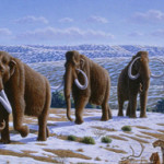 Re-creation of woolly mammoths in a late Pleistocene landscape in northern Spain. Artwork by Mauricio Anton. © 2008 Public Library of Science, licensed under Creative Commons Attribution 2.5 license.