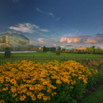 View of Frederik Meijer Gardens & Sculpture Park. Photo by William J. Hebert.