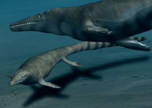 Mosasaurus hoffmani, Late Cretaceous period, Europe. Digital image by Nobu Tamua. Licensed under the Creative Commons Attribution 3.0 Unported license.