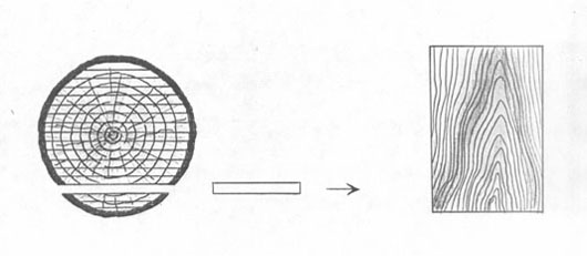 This drawing shows how lumber is “flat” cut and the resulting steeple pattern.