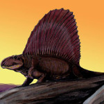 Re-creation of a Dimetrodon at sunrise, by Dmitry Bogdanov. Licensed under the Creative commons Attribution 3.0 Unported license.