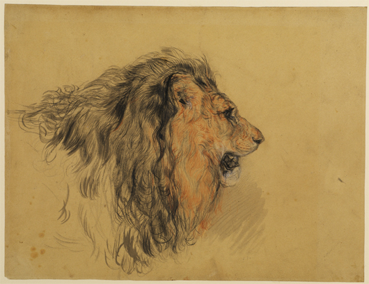 Edwin Landseer (1802-1873), Head of a Lion, c.1862. Chalk and wash over graphite on paper, to be seen at the Courtauld Gallery’s Victorian watercolour and drawings exhibition from February to May. Image copyright and courtesy The Samuel Courtauld Trust.