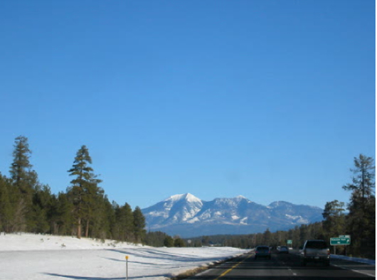 Scenic Flagstaff, Ariz., where six 1.03-acre lots are located that will be available for bidding in Sunny Land's Feb. 22 auction. Image courtesy of LiveAuctioneers.com and Sunny Land.