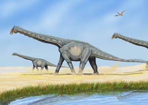 Artist Bogdanov's 2006 depiction of sauropods, including the Alamosaurus sanjuanensis, known for forming herds segregated by age. Licensed under the Creative Commons Attribution-Share Alike 3.0 Unported license.