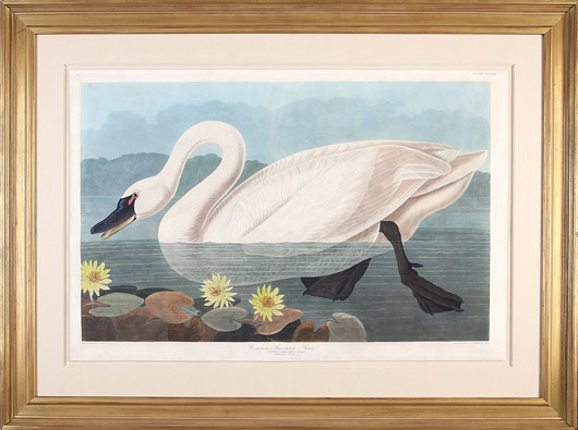John James Audubon, ‘Common American Swan,’ Plate 411, hand-colored engraving with aquatint from ‘Birds of America,’ Havell edition, sheet 25 3/4 inches x 38 1/2 inches, float-mounted and framed: $59,750. Image courtesy of Neal Auction Co.