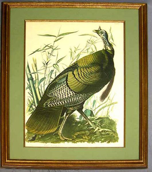 John James Audubon (American, 1785-1851), Wild Turkey, 20th century, Amsterdam edition Plate 1, est. $2,200-$3,200. Image courtesy of Crescent City Auction Gallery.