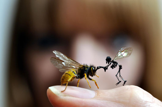 Artist Tessa Farmer holding 'Skeleton Fairy Battling Wasp,' on exhibition at Mottisfont Abbey in Hampshire until Oct. 2. Image courtesy the artist and the National Trust.