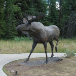 Titled 'September,' this bronze sculpture of a mature bull moose by American artist Michael Coleman now surveys Grand Teton National Park, thanks to a generous private donation. Image courtesy of Grand Teton National Park Foundation.