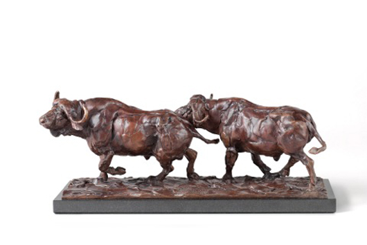 Mark Coreth, Buffalo Pair, bronze, edition of 9. On view in a joint exhibition with the work of painter Andrew Stock at the Jerram Gallery in Dorset from 10 September. Image courtesy of the Jerram Gallery. 