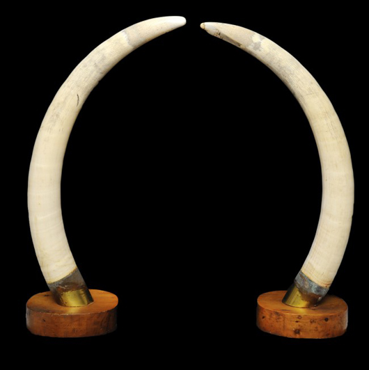Pair of ivory tusks on wooden stands. Estimate: $2,000-$4,000. Image courtesy of Morton Kuehnert Auctioneers.