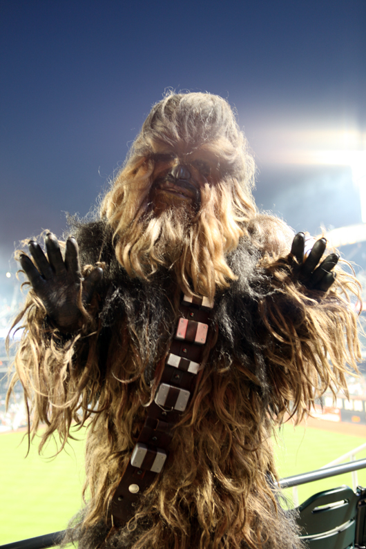 Its Chewbacca! Image courtesy of Tiffany Mamone, Auction Central News.