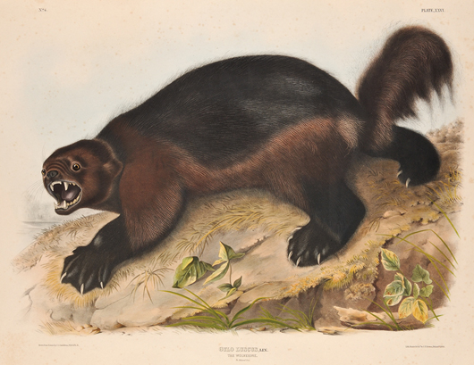 'The Wolverine,' plate XXVI from 'The Viviparous Quadrupeds of North America,' by John James Audubon, lithograph printed in colors and with touches of gum arabic by J.T. Bowen, Philadelphia, 1843, folio, the full sheet, 22 x 27 5/8 inches. Estimate: $2,000-$3,000. Image courtesy of Skinner Inc.