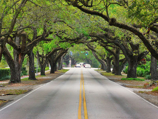 Coral Way, one of many scenic roads in Coral Gables, Florida. Photo by Marc Averette, licensed under the Creative Commons Attribution 3.0 Unported license.