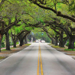 Coral Way, one of many scenic roads in upscale Coral Gables, Florida. Photo by Marc Averette, licensed under the Creative Commons Attribution 3.0 Unported license.