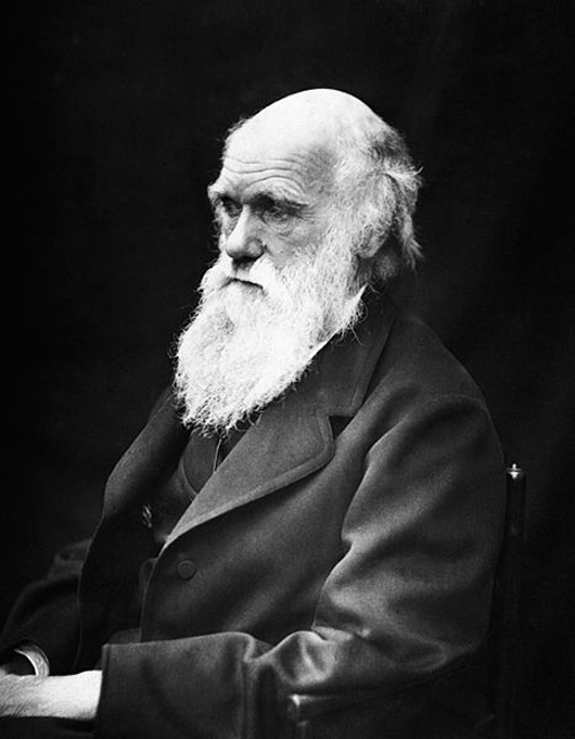 Charles Darwin (1809-1882) in a photographic portrait taken by J. Cameron in 1869.