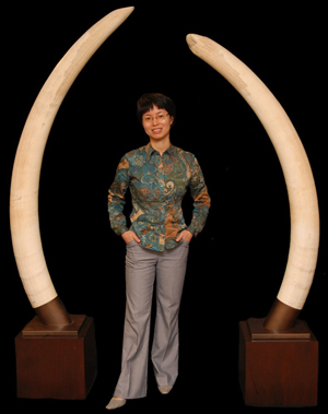 Pair of very large elephant ivory tusks, both on 15-inch bases. Estimate: $100,000-$150,000. Image courtesy Elite Decorative Arts.