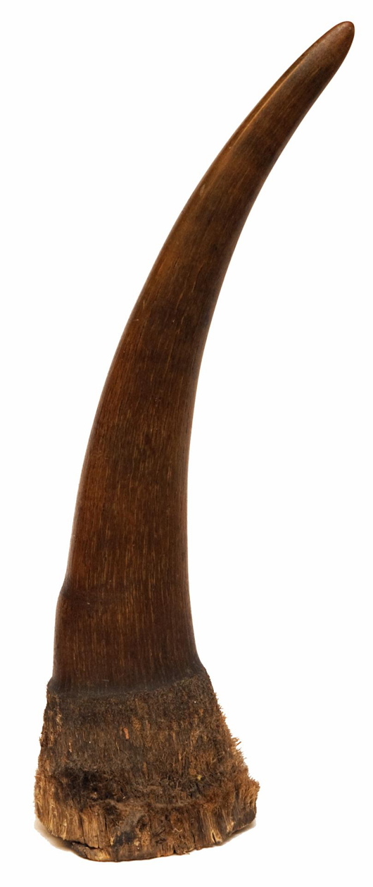 Antique 17th or 18th century genuine rhinoceros horn, uncarved, 26 inches long. Price realized: $109,250. Image courtesy Elite Decorative Auctions.