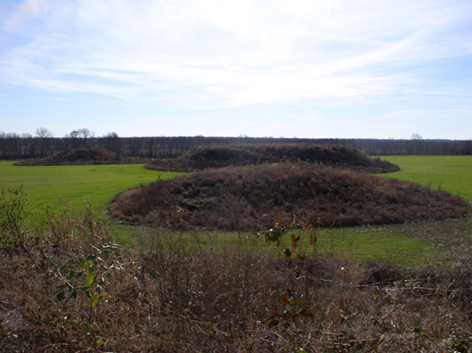 Three of the Kincaid mounds in Massac Co. Ill. Image by Herb Roe. This file is licensed under the Creative Commons Attribution-Share Alike 3.0 Unported, 2.5 Generic, 2.0 Generic and 1.0 Generic license.