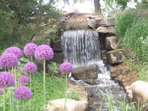 Waterfall and flowers at the Overland Park Arboretum & Botanical Gardens, Overland Park, Kansas. Photo by Skylar Vance, licensed under the Creative Commons Attribution-Share Alike 3.0 Unported, 2.5 Generic, 2.0 Generic and 1.0 Generic license.