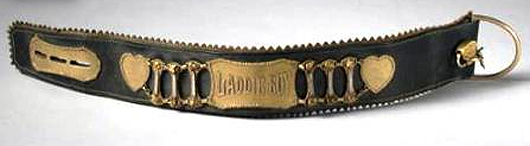 Have you seen this dog collar? It is inscribed 'Laddie Boy' and was stolen from the historical home of President Warren G. Harding.