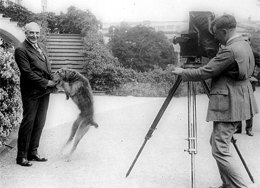 President Warren G. Harding in a 1922 photo with his pet dog Laddie boy, being photographed in front of the White House. Press photograph from the National Photo Company Collection at the Library of Congress.