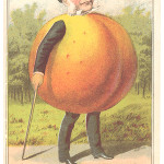 The Great American Tea Co. of New York City used this 'veggie' trade card in the 1860s. The 'man' in a top hat has the body of a peach and the caption says 'A swell peach.' In the slang of the day the word 'swell' meant a rich society man. Value, about $40.