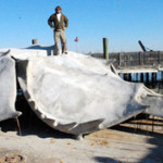 Scuba instructor and marine biologist Chris Wojcik stands atop a concrete horseshoe crab he created that will be installed as an artificial reef on July 25, 2012. Photo courtesy of NJ Division of Fish & Wildlife