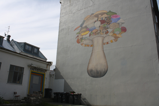 A toadstool painting on the side of a building in Reykjavik. Artist unknown. Photo by Kelsey Savage.