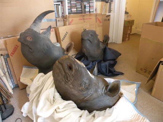 Federal agents who arrested antiques dealer David Hausman found a number of illegal items at his New York apartment. Agents seized four Black Rhinoceros mounts, three of which did not have horns, and one that had fake resin horns attached. Photo courtesy of United States Attorney's Office, Southern District of New York. Photo courtesy of United States Attorney's Office, Southern District of New York.
