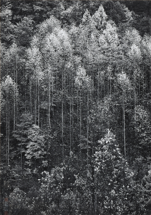 Ansel Adams (American, 1902-1984), ‘Dawn, Autumn, Great Smoky Mountains National Park, Tennessee,’ 1948, probably a later printing, signed ‘Ansel Adams’ in pencil on the mount image/sheet size 19 1/8 x 13 5/8 inches. Estimate: $8,000-$12,000. Skinner Inc. image.