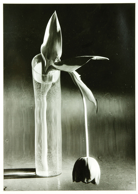 Andre Kertesz (Hungarian 1894-1985), ‘Melancholic Tulips,’ gelatin silver print, 1939 printed later, signed on back, 14 x 11 inches (image). Estimate: $6,000-$8,000. Kaminski Auctions image.
