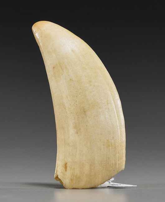 Old ivory whale's tooth, in original unpolished form, 5 inches long. Estimate: $200-$300. I.M. Chait Gallery /Auctioneers image.