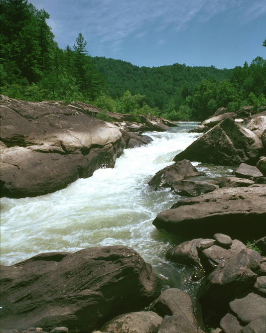 Angel Falls Rapids at Big South Fork National River and Recreation Area, home to many endangered species and Native American cultural relics. National Park Service photo.