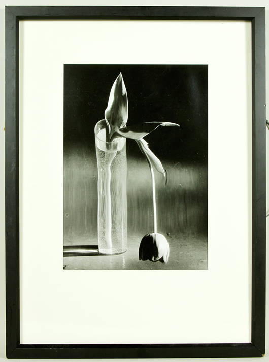 Signed Andre Kertesz (Hungarian 1894-1985), ‘Melancholic Tulips,’ gelatin silver print, 1939 printed later, 14 inches high x 11 inches wide (image). Price realized: $4,900. Kaminski Auctions image. 