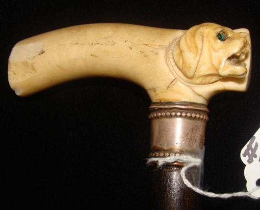 Carved ivory dog cane. Charles Fudge image.