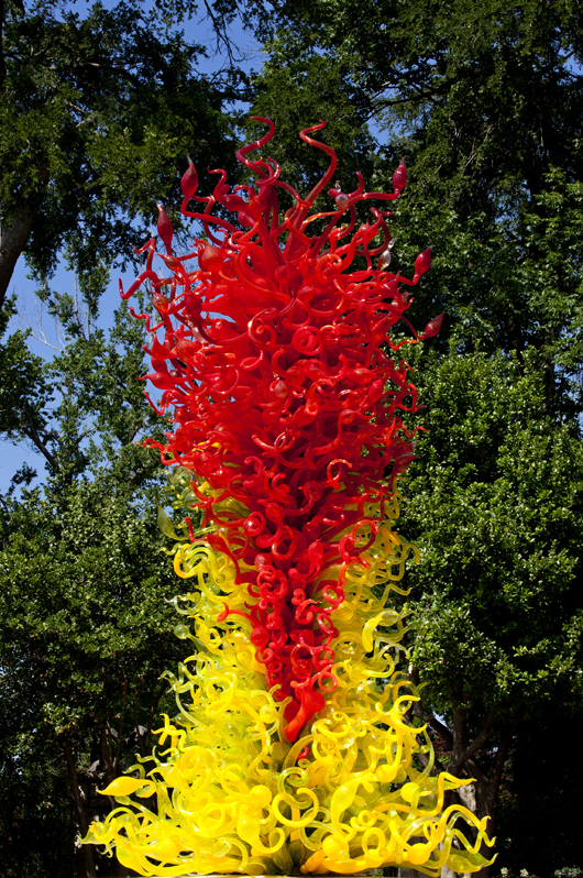 Dale Chihuly installation at the Dallas Arboretum. Photo Credit: Chihuly Studios. Used by permission.